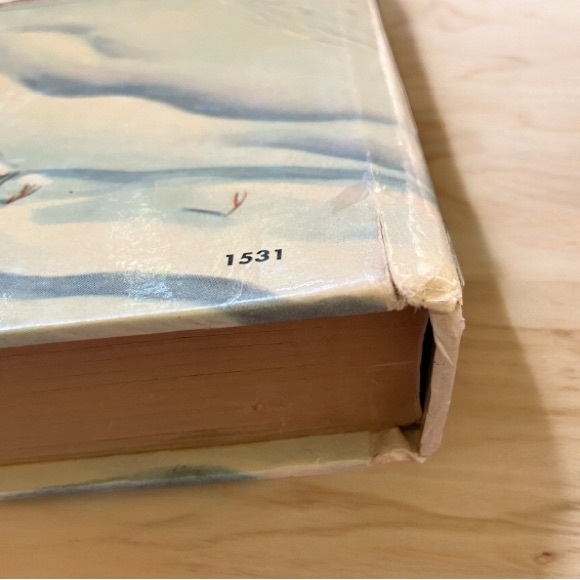 Vintage The Bobbsey Twins Merry Days Inside and Out Hardcover Book 1950 - Picture 7 of 8